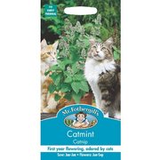 Kaķumētra( Nepeta cataria), 250 sēklas