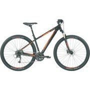 Bergamont revox 4.0
